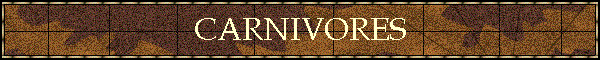 CARNIVORES