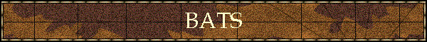 BATS