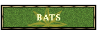 BATS