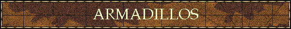 ARMADILLOS